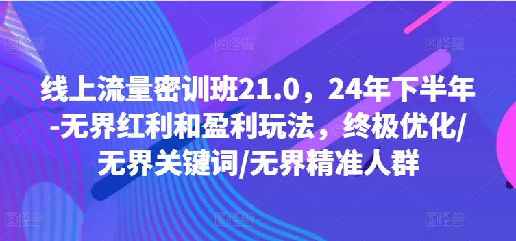 线上流量密训班21.0，24年下半年-无界红利和盈利玩法，终极优化/无界关键词/无界精准人群-梦凌网创
