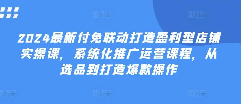 2024最新付免联动打造盈利型店铺实操课，​系统化推广运营课程，从选品到打造爆款操作-梦凌网创