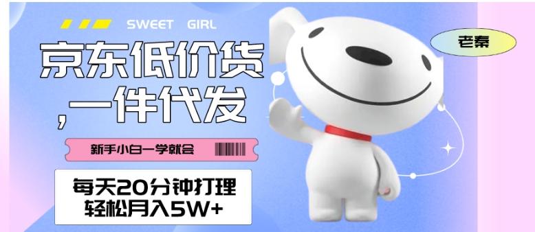 每天20分钟打理京东低价货，一件代发-轻松月入5W＋-梦凌网创