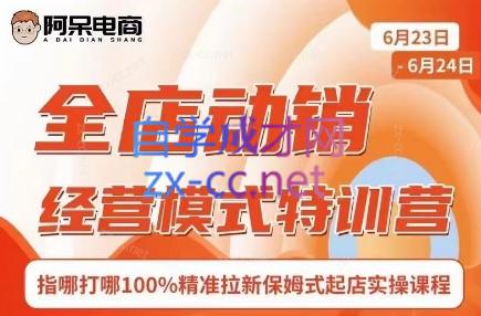 阿呆电商·全店动销经营模式特训营(线下录音+思维导图)-梦凌网创