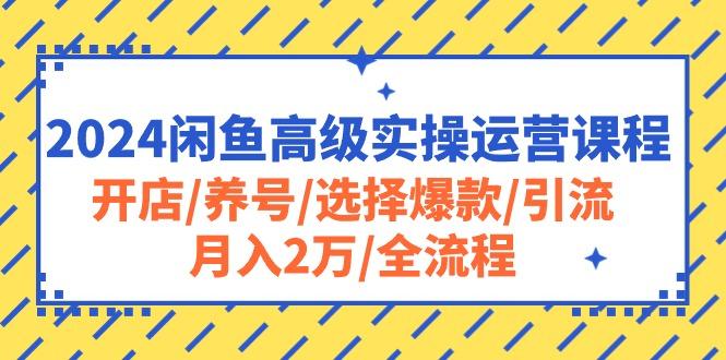 2024闲鱼高级实操运营课程：开店/养号/选择爆款/引流/月入2万/全流程-梦凌网创
