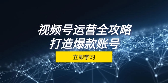 视频号运营全攻略，从定位到成交一站式学习，视频号核心秘诀，打造爆款…-梦凌网创