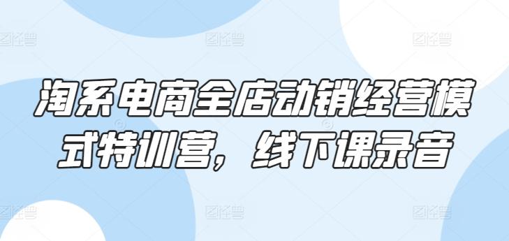 淘系电商全店动销经营模式特训营，线下课录音-梦凌网创