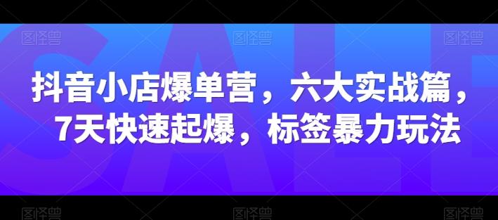 抖音小店爆单营，六大实战篇，7天快速起爆，标签暴力玩法-梦凌网创