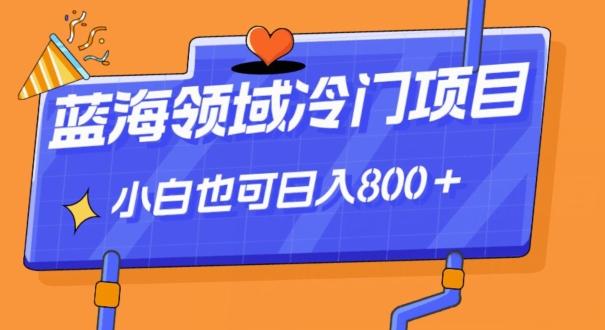 蓝海领域冷门赛道，一单39.9，日入800＋-梦凌网创