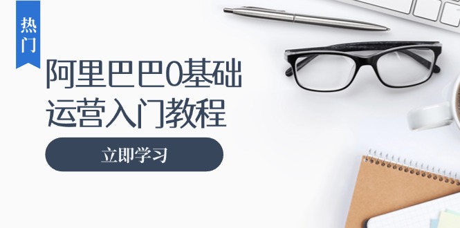 阿里巴巴运营零基础入门教程：涵盖开店、运营、推广，快速成为电商高手-梦凌网创