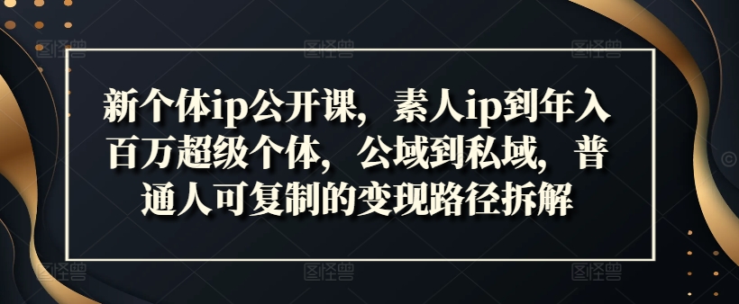 新个体ip公开课，素人ip到年入百万超级个体，公域到私域，普通人可复制的变现路径拆解-梦凌网创