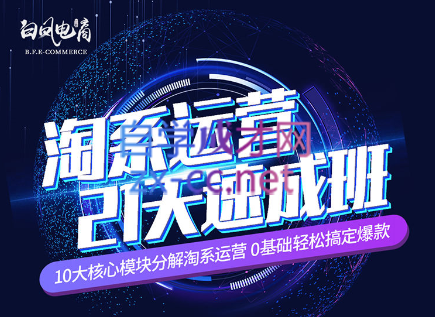 淘系运营21天速成班(更新7月)-梦凌网创