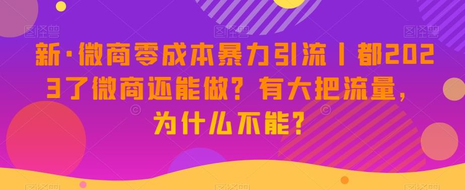 新·微商零成本暴力引流丨都2023了微商还能做？有大把流量，为什么不能？-梦凌网创