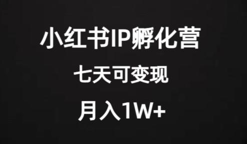 价值2000+的小红书IP孵化营项目，超级大蓝海，七天即可开始变现，稳定月入1W+-薪火元第一资源库