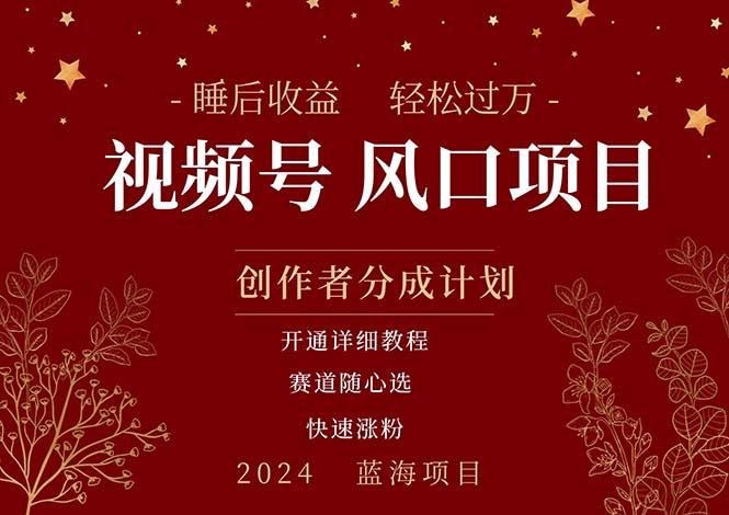 拥有睡眠收益的微信视频号大风口项目，轻松月入过万+，多赛道选择，可…-梦凌网创