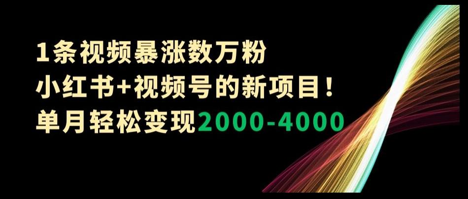 1条视频暴涨数万粉–小红书+视频号的新项目！单月轻松变现2000-4000【揭秘】-梦凌网创