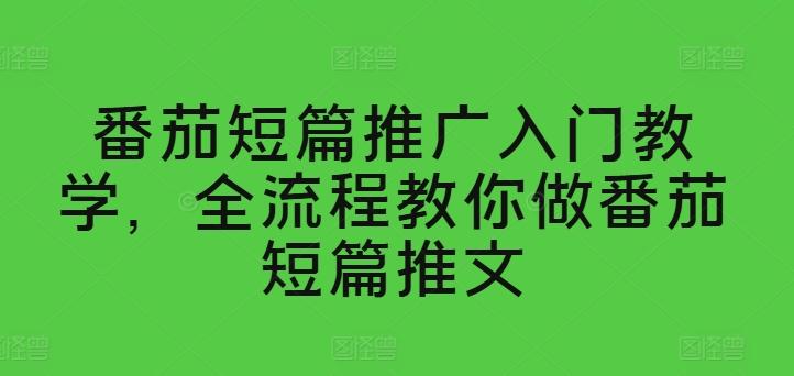 番茄短篇推广入门教学，全流程教你做番茄短篇推文-梦凌网创