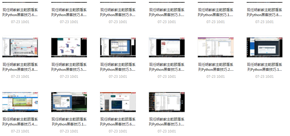 Python黑客技巧课程-薪火元第一资源库