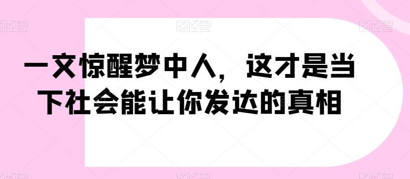 一文惊醒梦中人，这才是当下社会能让你发达的真相【公众号付费文章】-梦凌网创