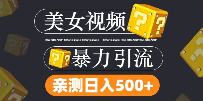 搬运tk美女视频全网分发，日引s粉300+，轻松变现，不限流量不封号【揭秘】-梦凌网创