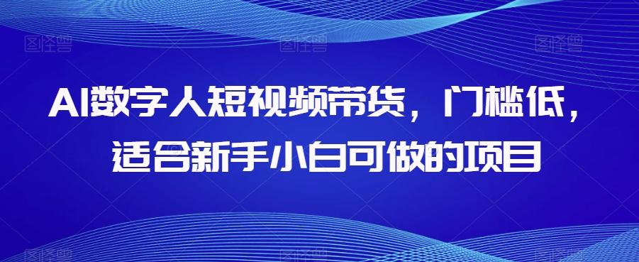 AI数字人短视频带货，门槛低，适合新手小白可做的项目-梦凌网创