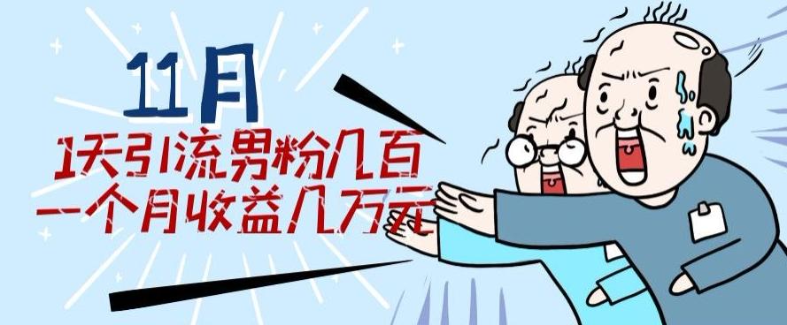 11月最新每天引流男粉300+一个月收益几万元-梦凌网创