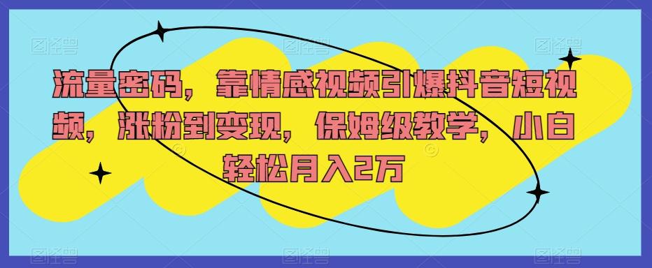 流量密码，靠情感视频引爆抖音短视频，涨粉到变现，保姆级教学，小白轻松月入2万【揭秘】-梦凌网创