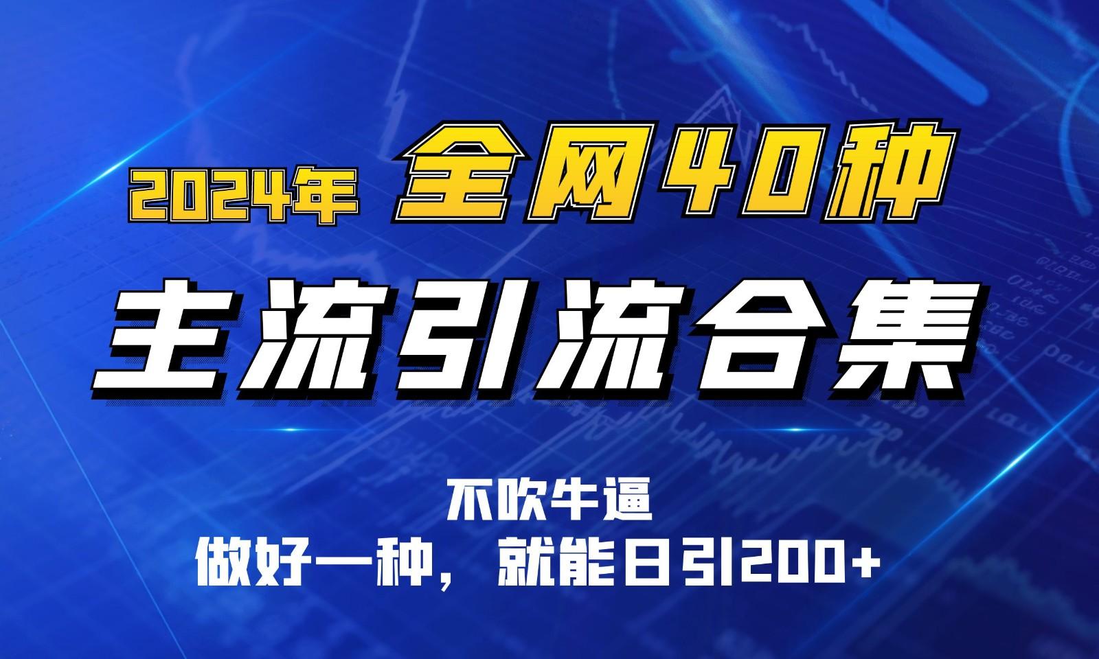 2024年全网40种暴力引流合计，做好一样就能日引100+-梦凌网创