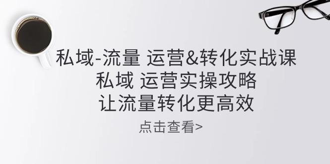 私域-流量 运营&转化实操课：私域 运营实操攻略 让流量转化更高效-梦凌网创