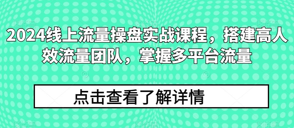 2024线上流量操盘实战课程，搭建高人效流量团队，掌握多平台流量-梦凌网创