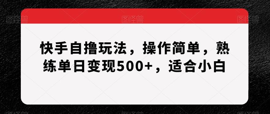 快手自撸玩法，操作简单，熟练单日变现500+，适合小白【揭秘】-梦凌网创