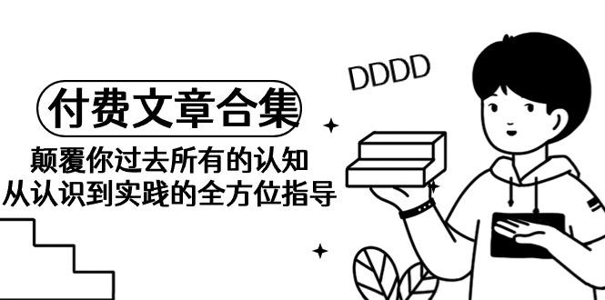 (9646期)《某公众号付费文章合集》颠覆你过去所有的认知 从认识到实践的全方位指导-梦凌网创