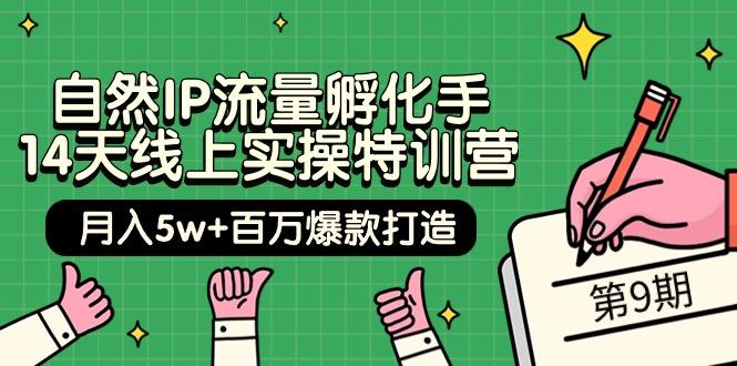 (9881期)自然IP流量孵化手 14天线上实操特训营【第9期】月入5w+百万爆款打造 (74节)-梦凌网创