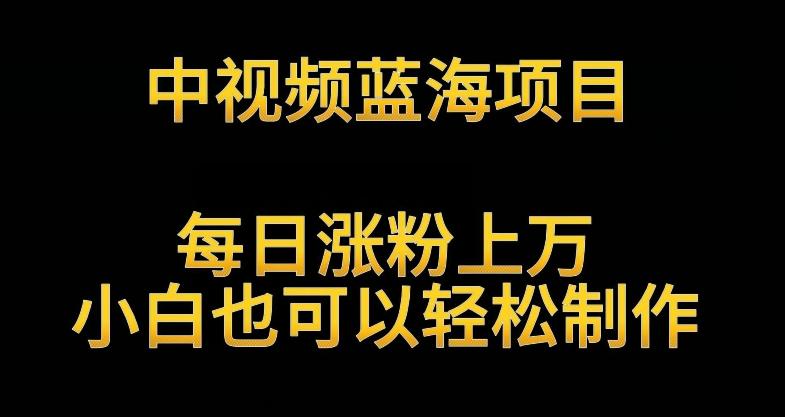 中视频蓝海项目，解读英雄人物生平，每日涨粉上万，小白也可以轻松制作，月入过万不是梦【揭秘】-梦凌网创