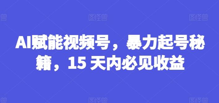 AI赋能视频号，暴力起号秘籍，15 天内必见收益【揭秘】-梦凌网创