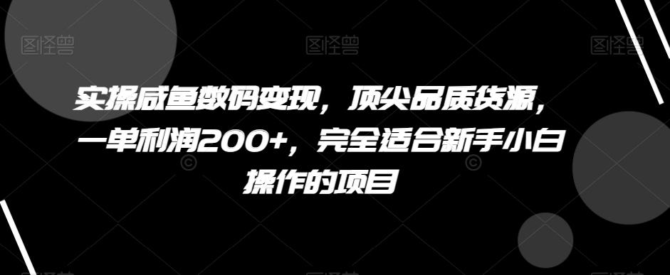 实操咸鱼数码变现，顶尖品质货源，一单利润200+，完全适合新手小白操作的项目【揭秘】-梦凌网创