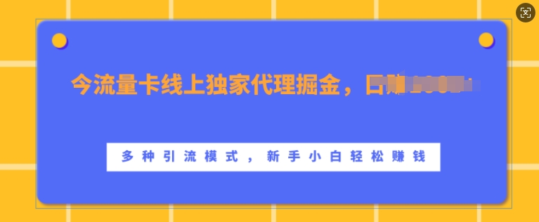 流量卡线上独家代理掘金，日入1k+ ，多种引流模式，新手小白轻松上手【揭秘】-梦凌网创