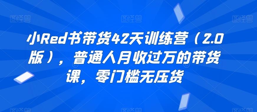 小Red书带货42天训练营(2.0版)，普通人月收过万的带货课，零门槛无压货-梦凌网创