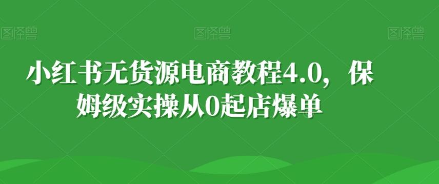 小红书无货源电商教程4.0，保姆级实操从0起店爆单【拆解】-梦凌网创