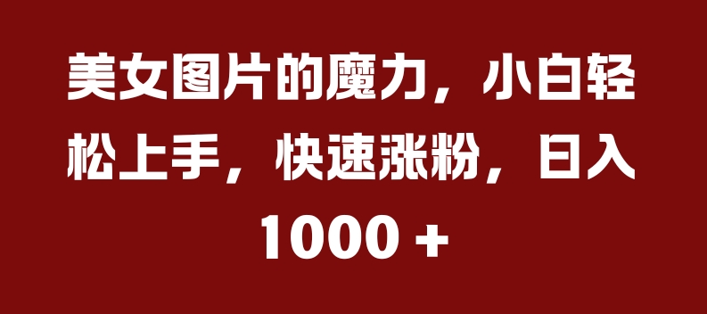 美女图片的魔力，小白轻松上手，快速涨粉，日入几张【揭秘】-梦凌网创