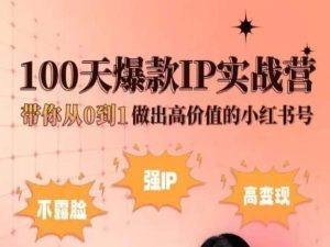 小红书100天爆款IP实战营，带你从0到1做出高价值的小红书号-梦凌网创