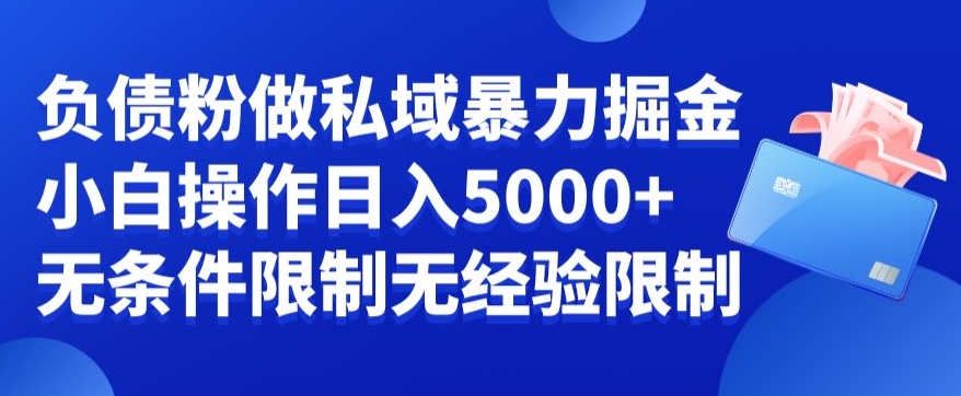 负债粉私域暴力掘金，小白操作入5000，无经验限制，无条件限制【揭秘】-薪火元第一资源库