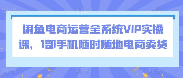 闲鱼电商运营全系统VIP实操课，1部手机随时随地电商卖货-梦凌网创