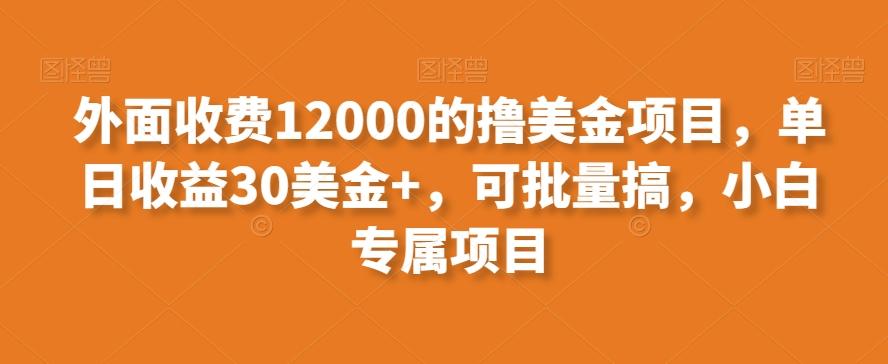 外面收费12000的撸美金项目，单日收益30美金+，可批量搞，小白专属项目-梦凌网创