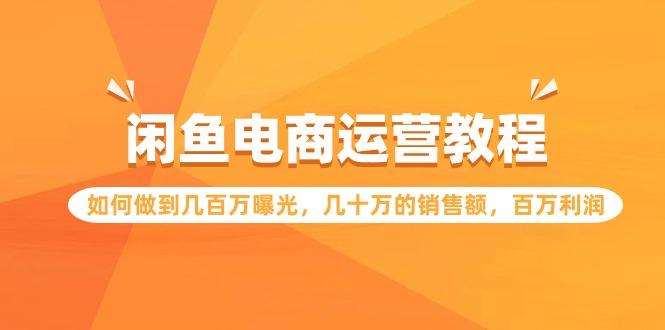 (9560期)闲鱼电商运营教程：如何做到几百万曝光，几十万的销售额，百万利润-梦凌网创