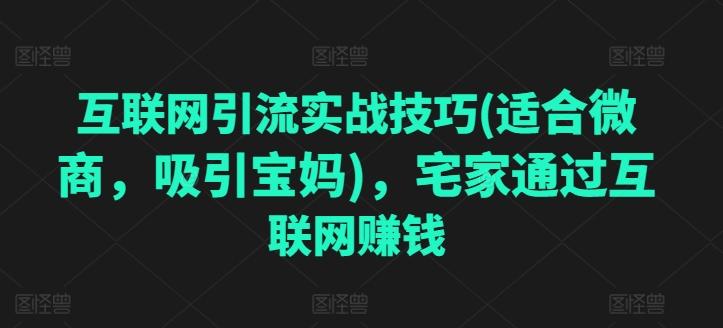 互联网引流实战技巧(适合微商，吸引宝妈)，宅家通过互联网赚钱-梦凌网创
