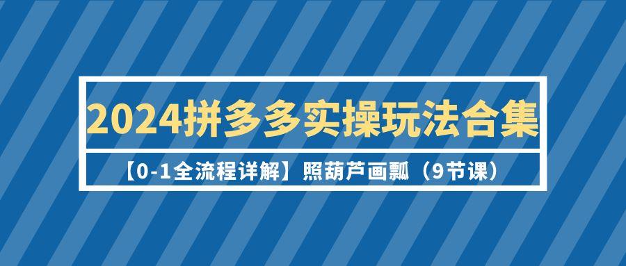 (9559期)2024拼多多实操玩法合集【0-1全流程详解】照葫芦画瓢(9节课)-梦凌网创