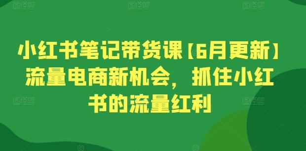 小红书笔记带货课【6月更新】流量电商新机会，抓住小红书的流量红利-梦凌网创