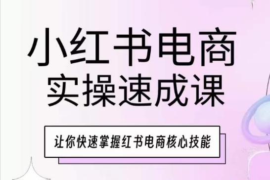 小红书电商实操速成课，让你快速掌握红书电商核心技能-梦凌网创