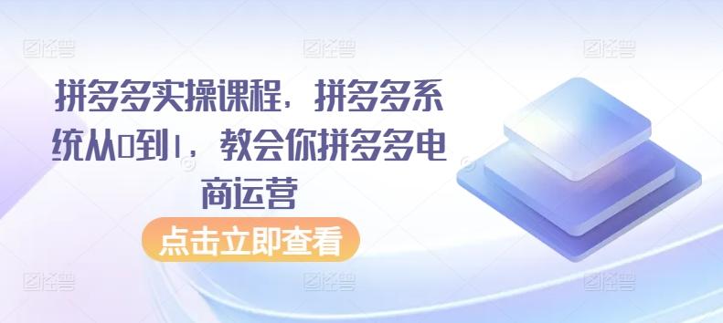 拼多多实操课程，拼多多系统从0到1，教会你拼多多电商运营-梦凌网创
