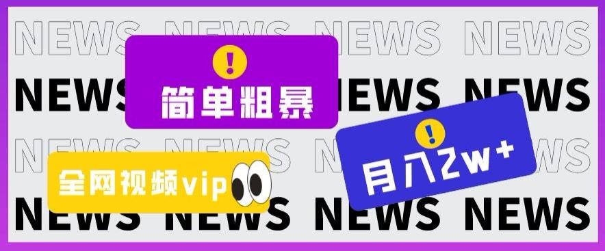 简单粗暴零成本，高回报，全网视频VIP掘金项目，月入2万＋【揭秘】-梦凌网创