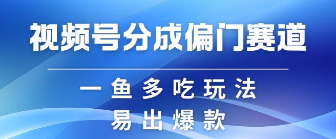 视频号创作者分成计划偏门类目，容易爆流，实拍内容简单易做【揭秘】-梦凌网创