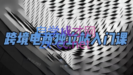 团长·跨境电商独立站入门课(2小时精华)-梦凌网创