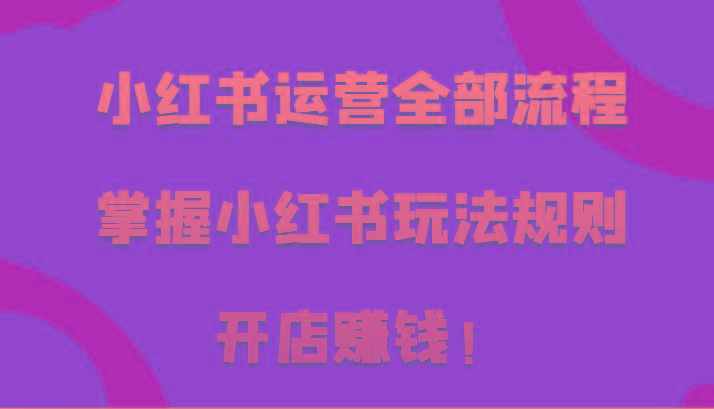 小红书运营全部流程，掌握小红书玩法规则，开店赚钱！-梦凌网创